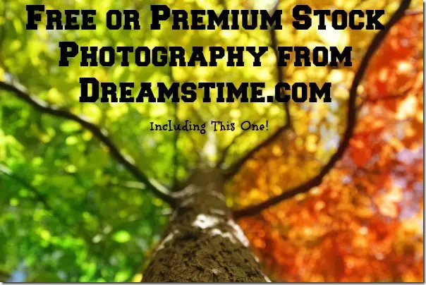 Free and Premium Stock Photography from Dreamstime